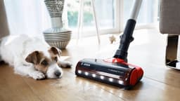 Bosch BCS711PET - Steelstofzuiger - Rood — thumbnail 2