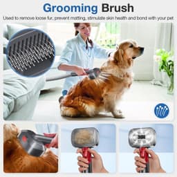 Hondenverzorgingsset voor Dyson V7, V8, V10, V11, V12, V15, G5 - Opzetstukken voor huisdieren — thumbnail 2