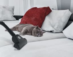 Hoover Brave BV60PET 011 2,3 l Cilinderstofzuiger Droog 700 W Stofzak — thumbnail 3