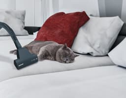 Hoover Breeze BR31PET 011 2 l Cilinderstofzuiger Droog 700 W Zakloos — thumbnail 3