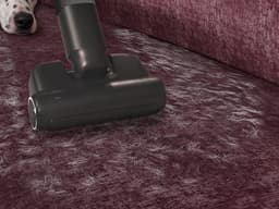 AEG AP91AB21DG Animal 9000 - Steelstofzuiger draadloos met 4 opzetstukken - Voor huisdieren - Lange accuduur tot 90 min - 360° LED-verlichting - Krachtig - Sterke zuigkracht - Vacuum cleaner - Dierenhaar - Draadloos zonder zak - Zonder zak op accu — thumbnail 4