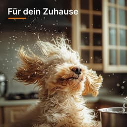 Zakloze Cycloonstofzuiger voor Dierenharen en Huishouden - 1700W — thumbnail 3