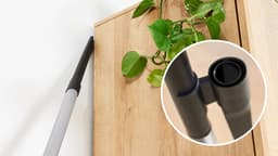 Bosch Serie 8 BGL8BA4D5 stofzuiger 5 l Trommelstofzuiger Droog 800 W Stofzak — thumbnail 3