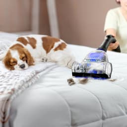 AG3200 Stofzuiger Zonder Zak - Stofzuigers - Vacuum Cleaner Zakloos - Geschikt Voor Dierenharen -900W - Sterke Zuigkracht - Blauw — thumbnail 4