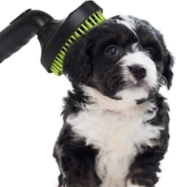 Dparts universeel hondenborstel stofzuiger - 32mm + 35mm - hondenkam van rubber - diervriendelijk hondenhaar en kattenhaar opzetstuk, hulpstuk, accessoire, stofzuigerborstel, stofzuigermondstuk, mondstuk, borstel voor hondenharen - dierenhaarborstel — thumbnail 3
